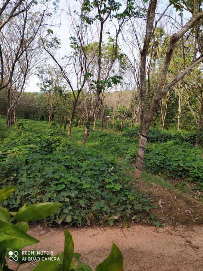 Vanasiri Cottage Dharmastala المظهر الخارجي الصورة